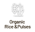 rice_pulses